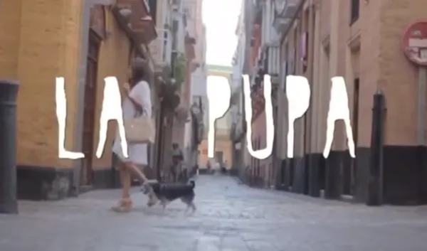Trailer Pupa